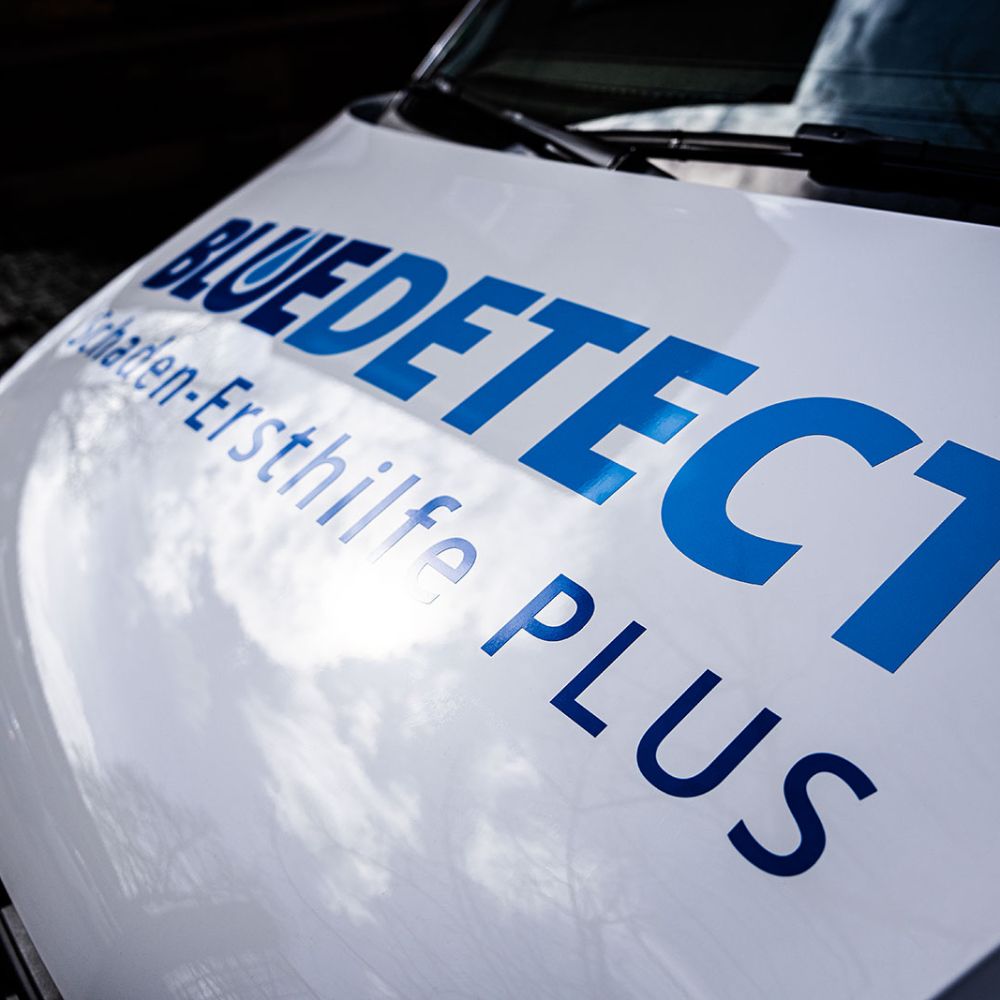 Franchisepartner bei Blue Detect werden | Österreich und Deutschland | Deutschland